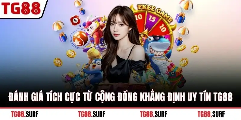 Đánh giá tích cực từ cộng đồng khẳng định uy tín TG88